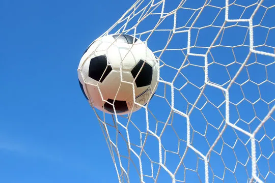 下载与安装引导